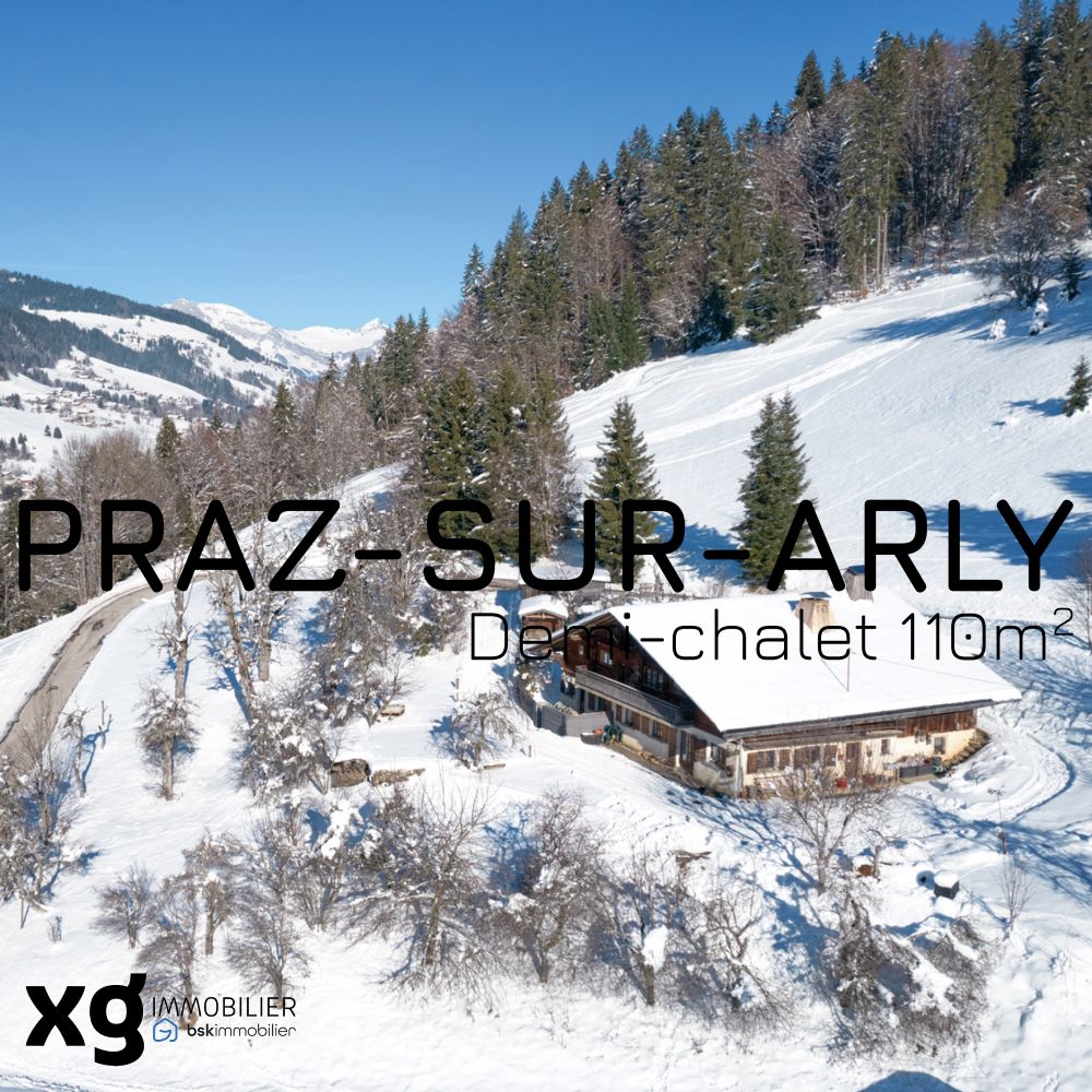 appartement Praz sur Arly Cordon Sallanches Chamonix Megève pas cher